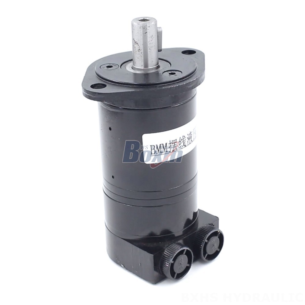 BMM Cycloid Hydraulic Motor 8 cc/r 14 Lpm - Factory Direct Supply cover photo